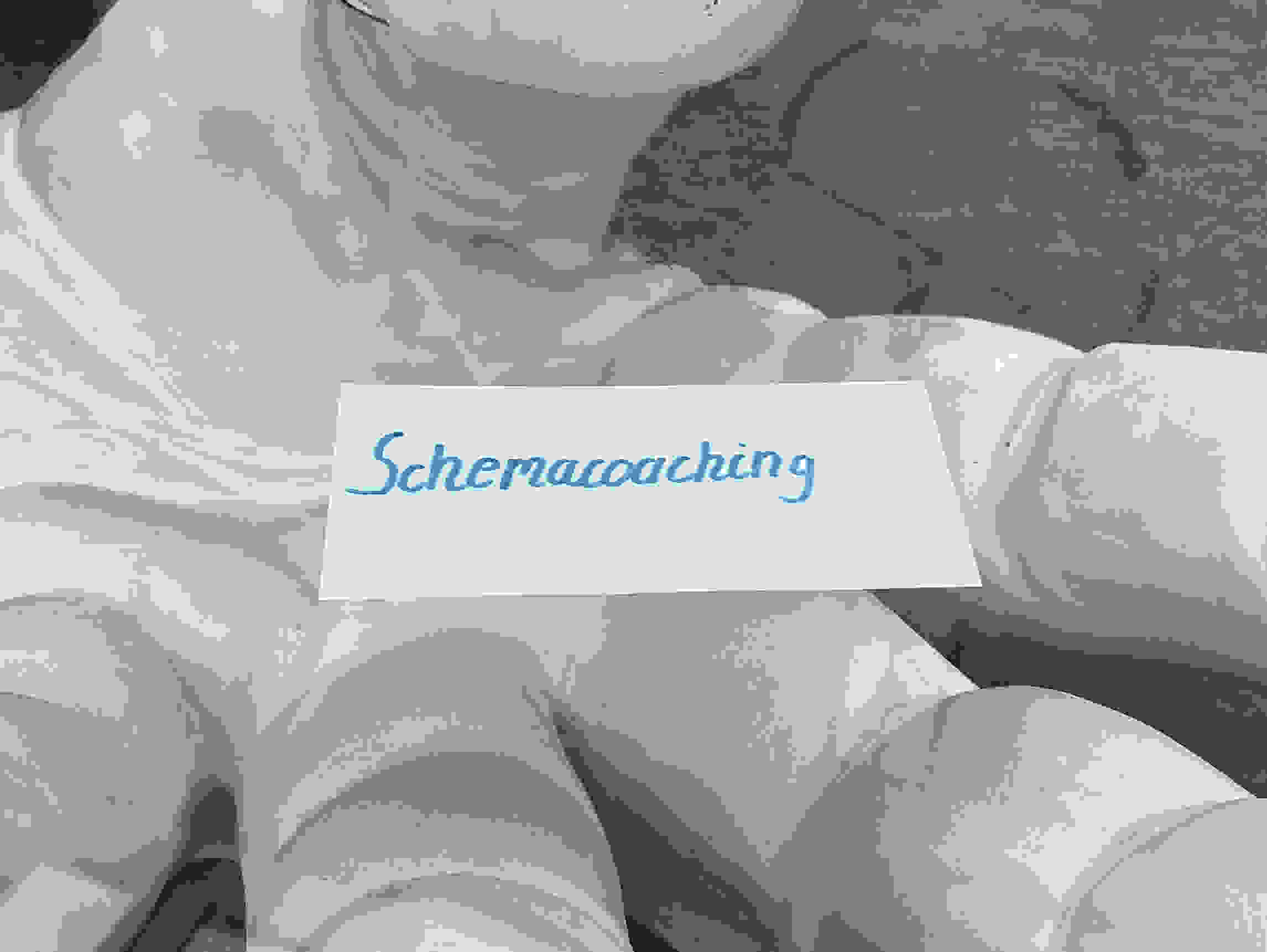 Schemacoaching